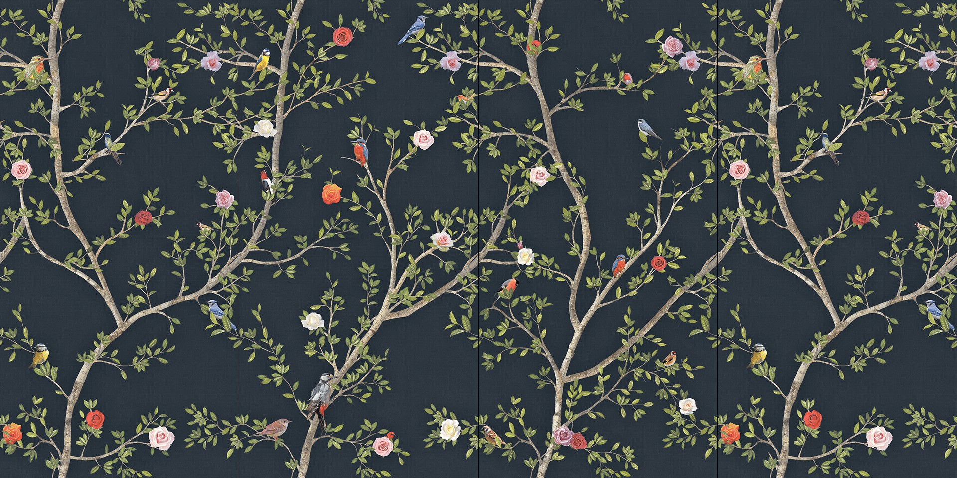 Header Image